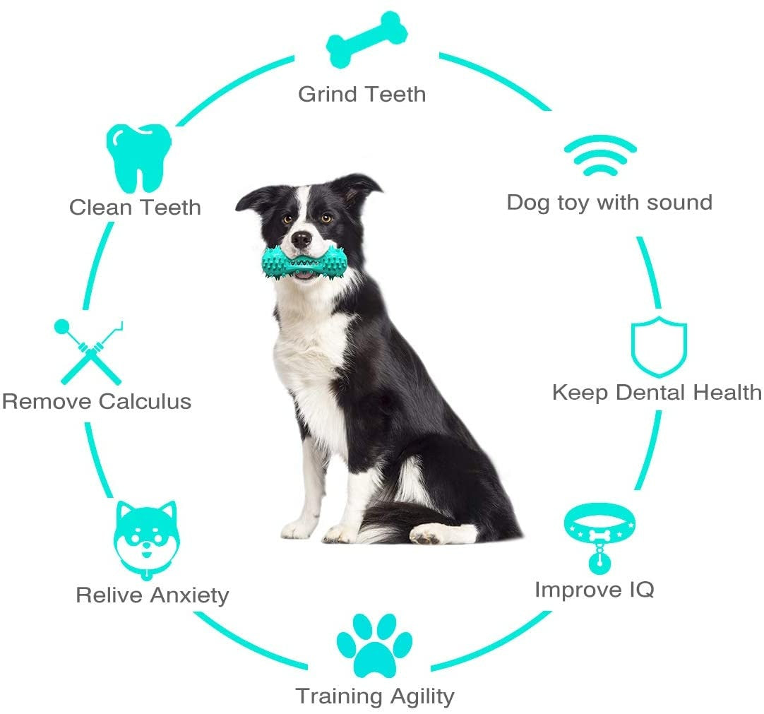 Dog Chew Toys