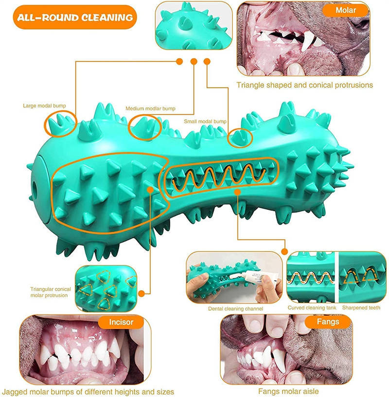 Dog Chew Toys