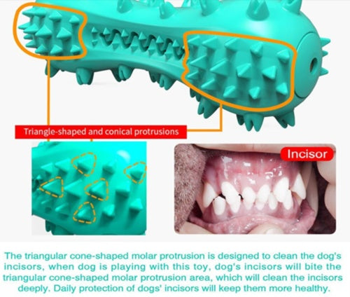 Dog Chew Toys