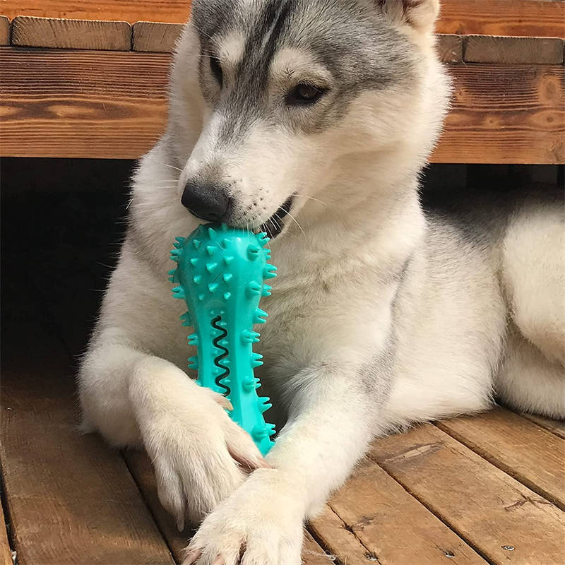 Dog Chew Toys